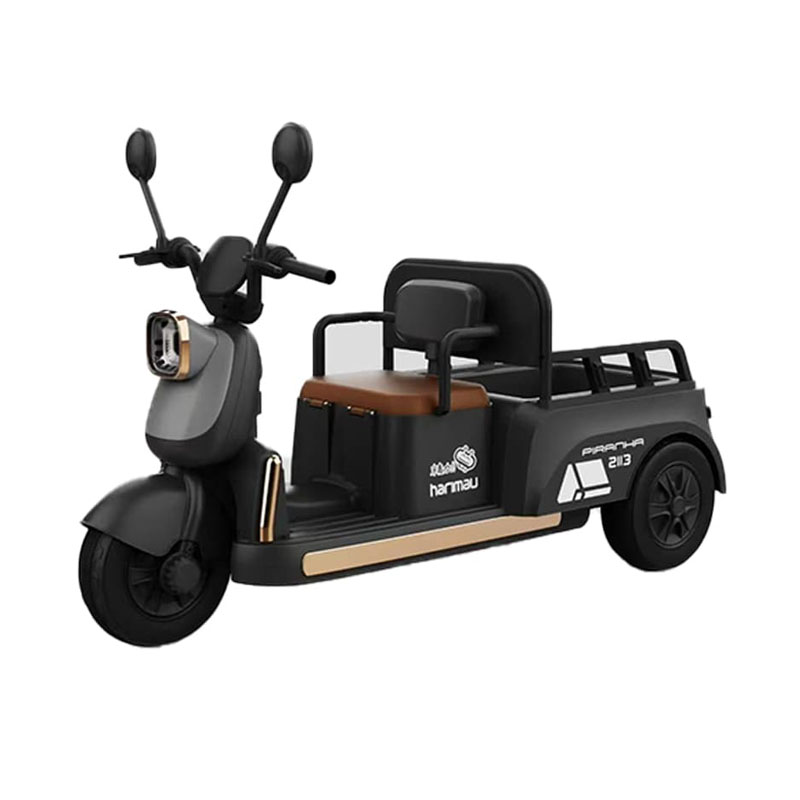 Kids Electric Tricycle with Multiple Configurations Available